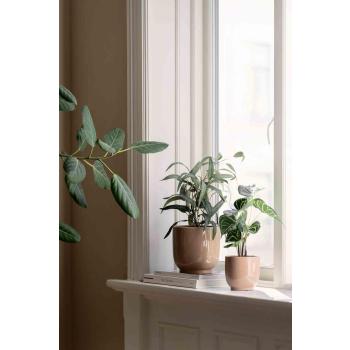 Potte Sandra med planter i vinduskarm