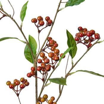 Stilkblomst Høstbær 88cm