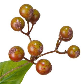 Stilkblomst Høstbær nærbilde