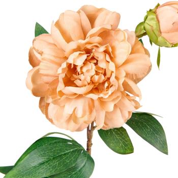 Stilkblomst Peon 70cm oker