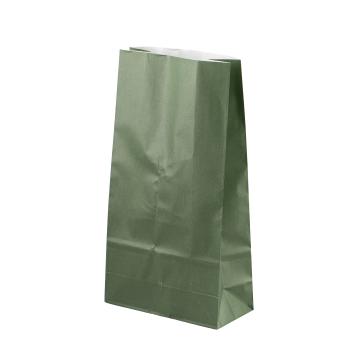 Adventpose i grønn stående