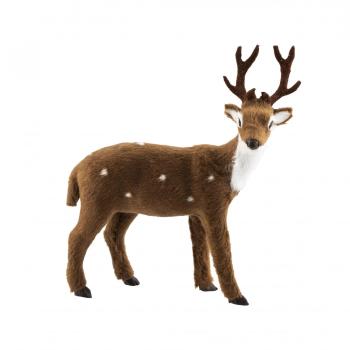Stor mørkebrun dåhjort