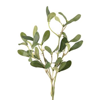 Gren Mistel med hvite bær