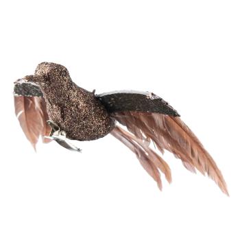 Fugl på klype kolibri brun