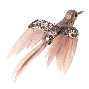 Fugl på klype kolibri brun