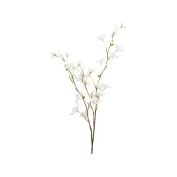 Gren kornell på stilk