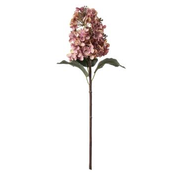 Rosa syrin nærbilde