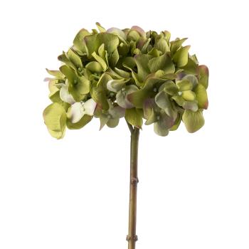 Stilkblomst Hortensia 52 cm grønn