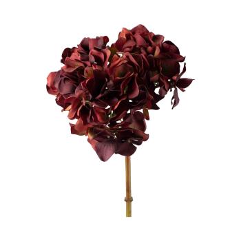 Stilkblomst Hortenisa 52cm