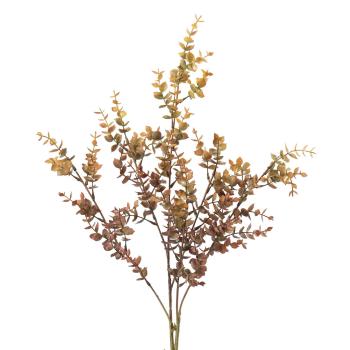 Stilk eucalyptus høst farger