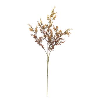 Stilkblomst eucalyptus