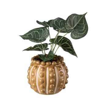 Potte Torino med grønn plante