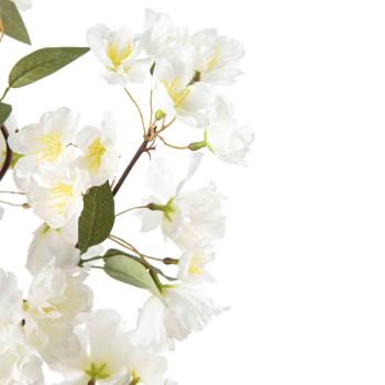 Gren Kirsebærblomst H 105 cm