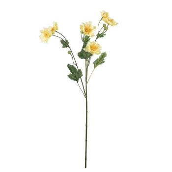 Stilkblomst Ranunkel 69 cm