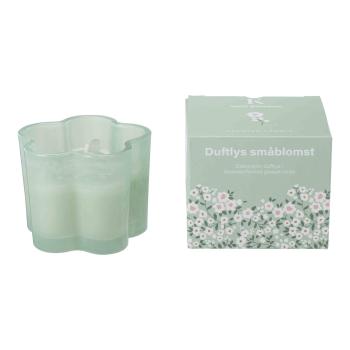 Duftlys småblomst Wild Bamboo