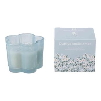 Duftlys småblomst hvit te og ingefær