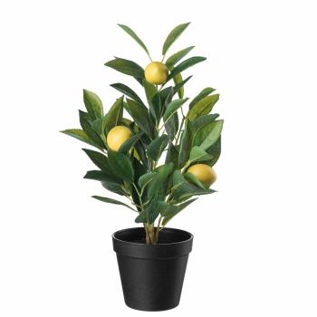 kunstig sitrontre