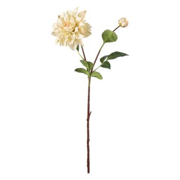 Stilkblomst Dahlia 70 cm off white