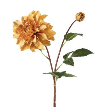 Stilkblomst Dahlia 70 cm oker