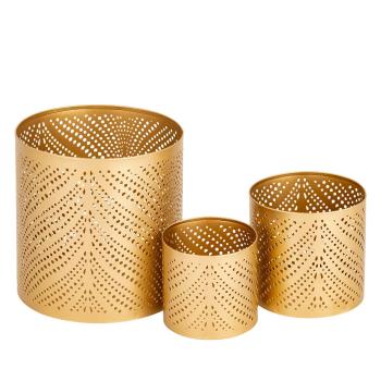 Telysholder Jasmine gull