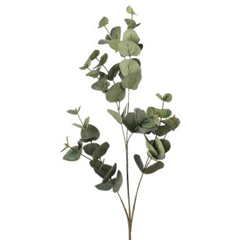 Gren Eucalyptus