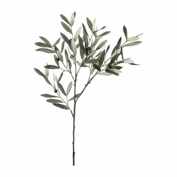 Gren Oliven 80cm