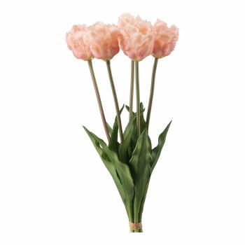 Tulipan Papegøye Bukett 39cm 5-pk