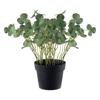 Plante Kløver 22cm