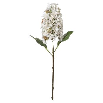 Stilklomst Syrinhortensia 75 cm hvit