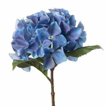 Stilkblomst Hortensia 49 cm blå