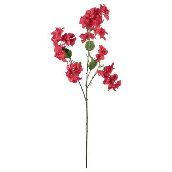 Stilkblomst Bougainvillea 106 cm