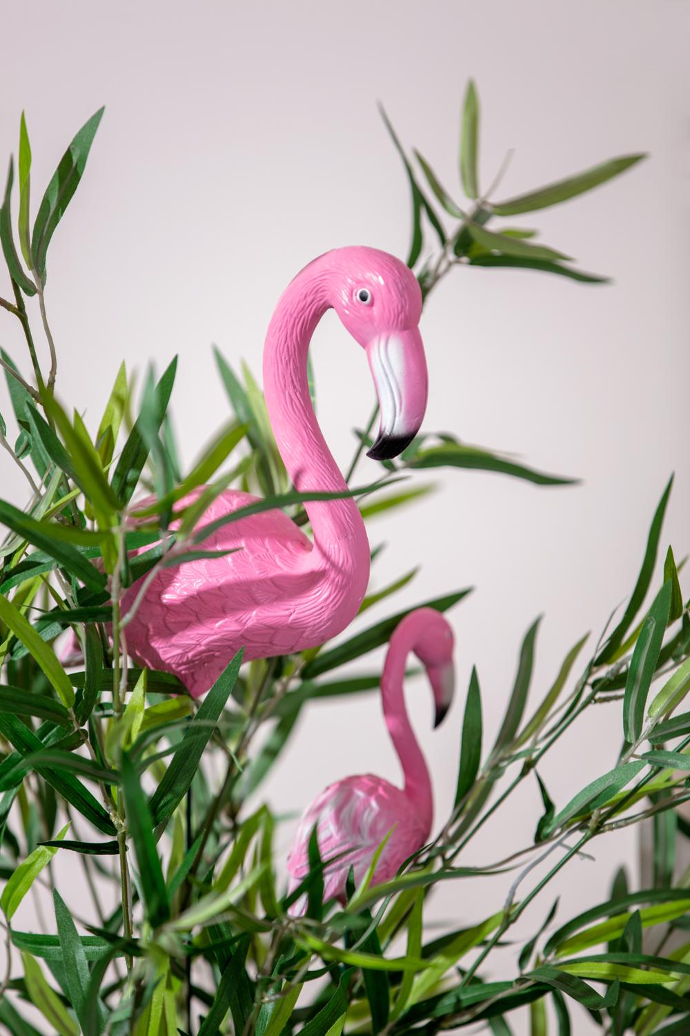 Kremmerhuset flamingo