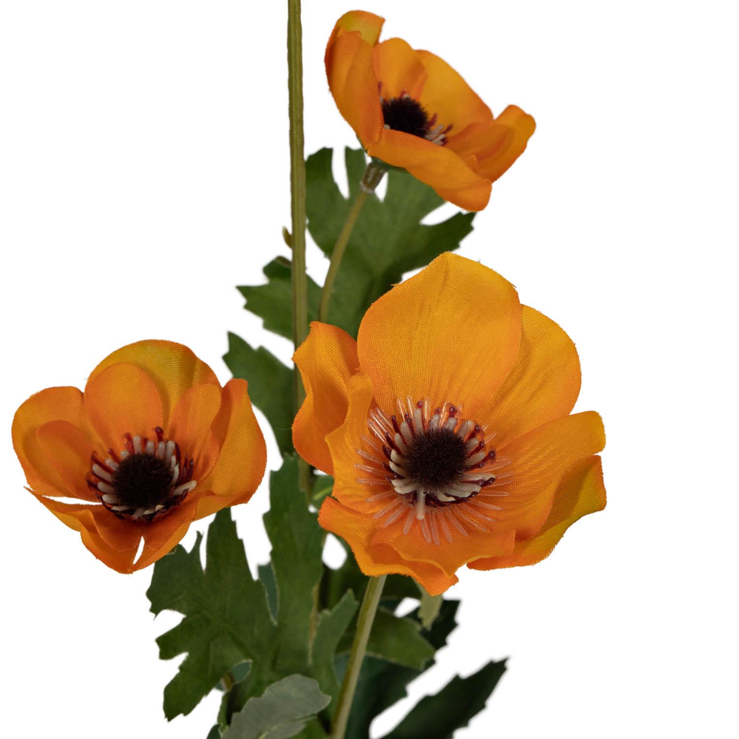 Kremmerhuset orange Anemone | cm 60 Blomst